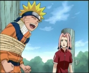 Naruto e Sakura